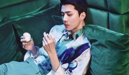 吴世勋深度爆料最新,娱乐圈背后的真实故事